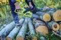 Tree cutting in garden