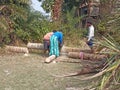 Tree Cutting image in village
