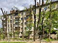 Tree Cutting Servises in the City Royalty Free Stock Photo