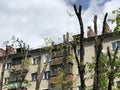 Tree Cutting Servises in the City Royalty Free Stock Photo