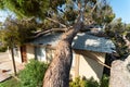 Tree Damage to Roof after Major Monsoon