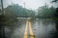 Tree and debri in road during typhoon