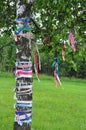 Tree decorated with colored ribbons