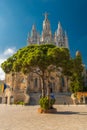 Tree del Sagrado Corazn de Jesus Royalty Free Stock Photo