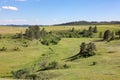 The tree-dotted prairie in Wind Cave National Park, Hot Springs, South Dakota Royalty Free Stock Photo