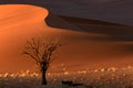 Tree and dune, Sossusvlei, Namibia Royalty Free Stock Photo