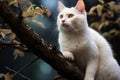 Tree dwelling elegance a white cat perched on a branch radiates graceful beauty Royalty Free Stock Photo