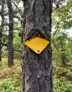 Tree eat the trail plate. Minnewaska State Park