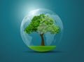 Tree eco world vector