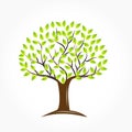 Tree ecology icon symbol vector logo Royalty Free Stock Photo