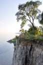 Tree on edge of cliff and Lake Ontario - Scarborough Bluffs - Toronto