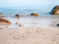 Tree on empty stony coastline of Kap Atkona. Trunk with broken branches Royalty Free Stock Photo