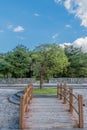 Tree at end of wooden footbridge in park Royalty Free Stock Photo