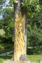 Tree engraving in tarbert park