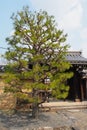 The Tree Entrance of Tenryu-ji in Kyoto
