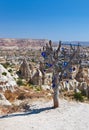 Tree and evil eye amulet in Cappadocia Turkey Royalty Free Stock Photo