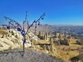 Tree with evil eyes in Capadocia