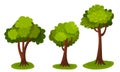 Tree with Exuberant Green Foliage and Trunk Vector Illustration Royalty Free Stock Photo