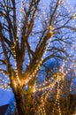 Tree with fairy lights