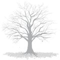 The tree with fallen leaves.Monochrome vector illustration.
