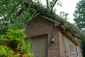 Tree fallen on top of house Royalty Free Stock Photo