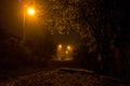 Autumn foggy evening near city centre Poltava, Ukraine
