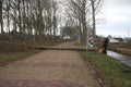 Tree falling on a public road in Nieuwerkerk aan den IJssel