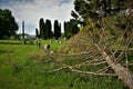 A tree falls in the Hinckley memorial cemetery
