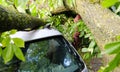 A tree fell on a car during a hurricane. Broken tree on a car close-up Royalty Free Stock Photo