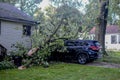 Tree Fell on Car in Microburst Storm Royalty Free Stock Photo