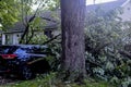 Tree Fell on Car in Microburst Storm