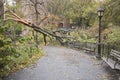 Tree felled by Hurricane Sandy, Manhattan