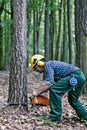 Tree feller in the woods Royalty Free Stock Photo
