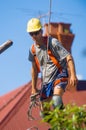 Tree Feller at work Royalty Free Stock Photo