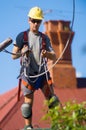 Tree Feller at work Royalty Free Stock Photo