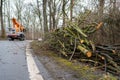 Tree felling work on a road in spring with a lifting platform Royalty Free Stock Photo
