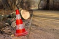 Tree felling work with warning cones in a park Royalty Free Stock Photo