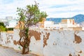 Tree fence cityscape Cartagena Spain