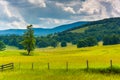 Tree and fence in a field and hills in the rural Potomac Highlands of West Virginia.