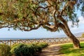 View of Palisades park in Santa Monica, California. Royalty Free Stock Photo