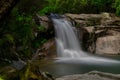 Tree fern waterfall tropical rain forest paradise. Waterfall in the Rain Forest. Waterfall Royalty Free Stock Photo