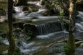 Waterfall in the Rain Forest. Waterfall. Tree fern waterfall tropical rain forest paradise