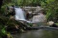 Tree fern waterfall tropical rain forest paradise. Waterfall in the Rain Forest. Waterfall Royalty Free Stock Photo