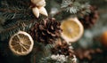 A tree with a few pine cones and oranges hanging from it Royalty Free Stock Photo