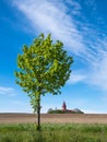 Tree, field and lighthouse in Bastorf, Germany Royalty Free Stock Photo