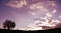 Tree and field under the immense sky, silhouette of trees and clouds