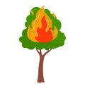 Tree on fire, green leaves with orange and yellow flames. Environmental issue, forest fire concept vector illustration