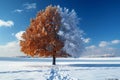 a tree fire and snow in global warming concept standing on melting ice in this world we live in, Climate Crisis in the Royalty Free Stock Photo