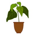 Tree flower pot icon cartoon vector. Garden botanical window Royalty Free Stock Photo
