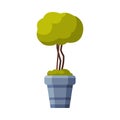 Tree in Flowerpot, Green Potted Plant Flat Style Vector Illustration on White Background.